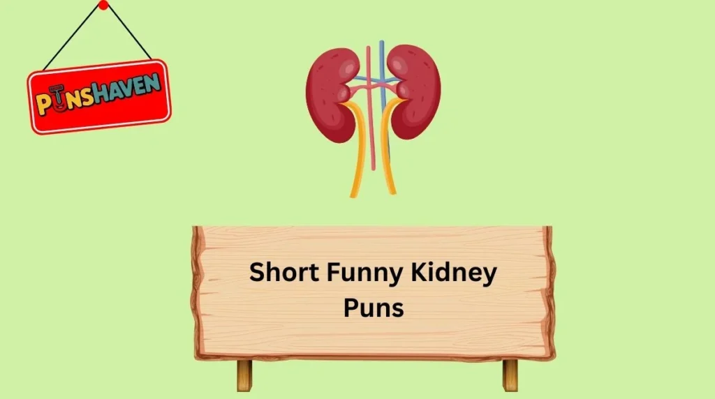 Short Funny Kidney Puns