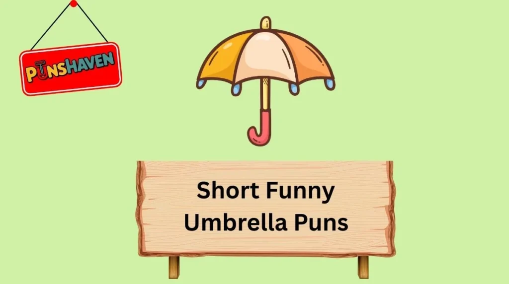 Short Funny Umbrella Puns