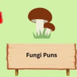 Fungi Puns