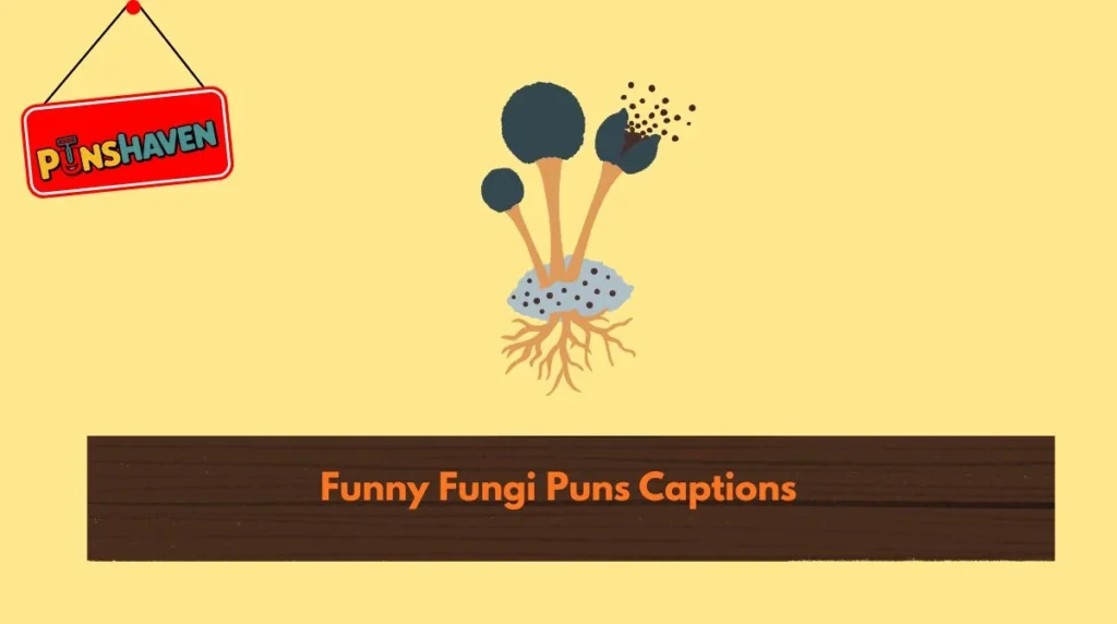 Funny Fungi Puns Captions