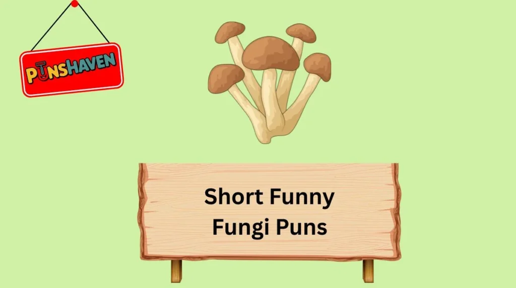 Short Funny Fungi Puns