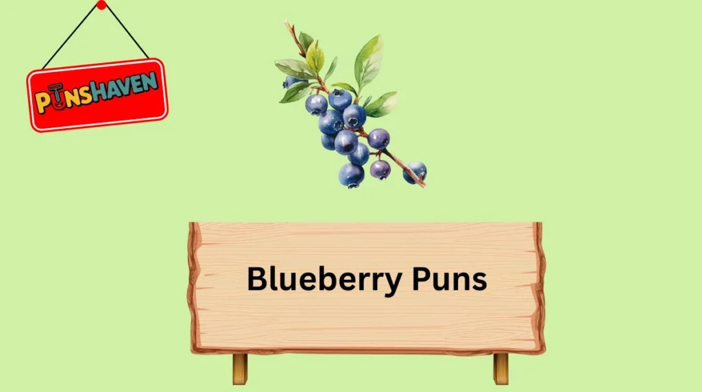 Blueberry Puns