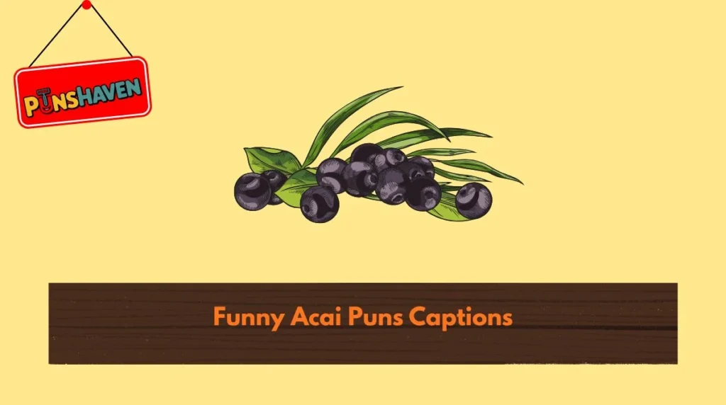 Funny Acai Puns Captions