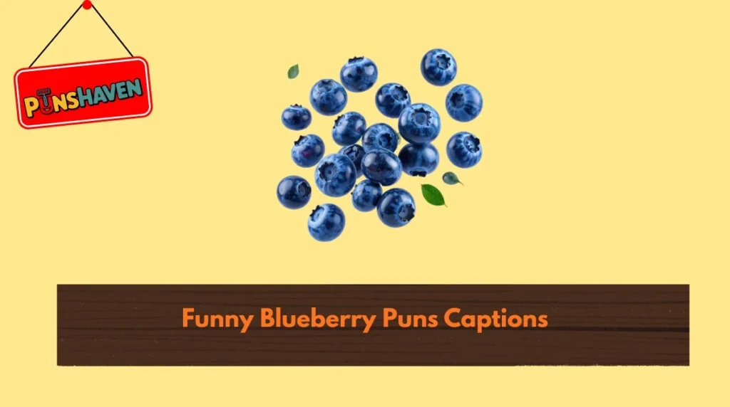Funny Blueberry Puns Captions