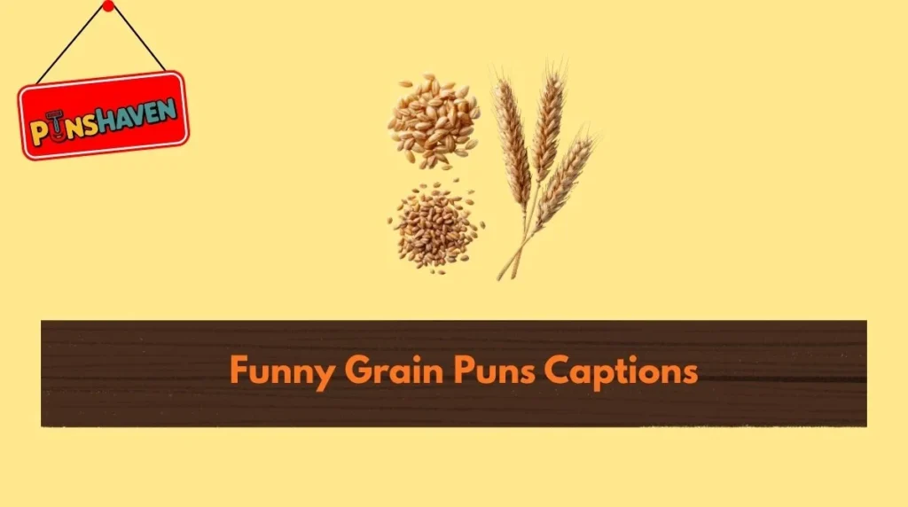 Funny Grain Puns Captions