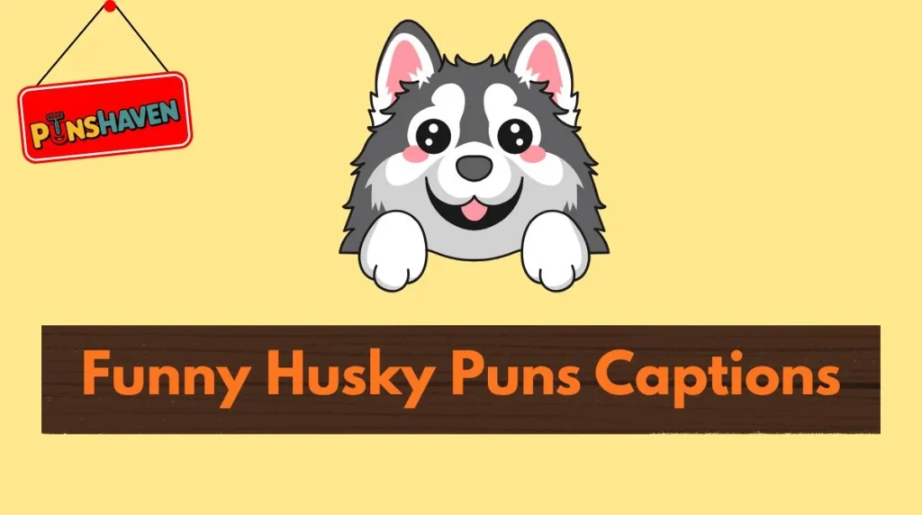 Funny Husky Puns Captions