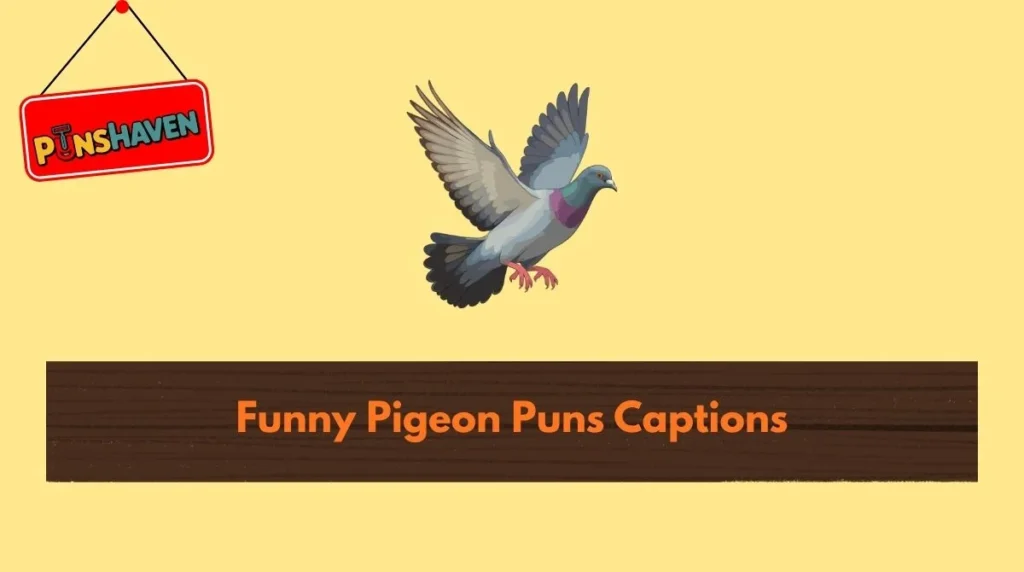 Funny Pigeon Puns Captions