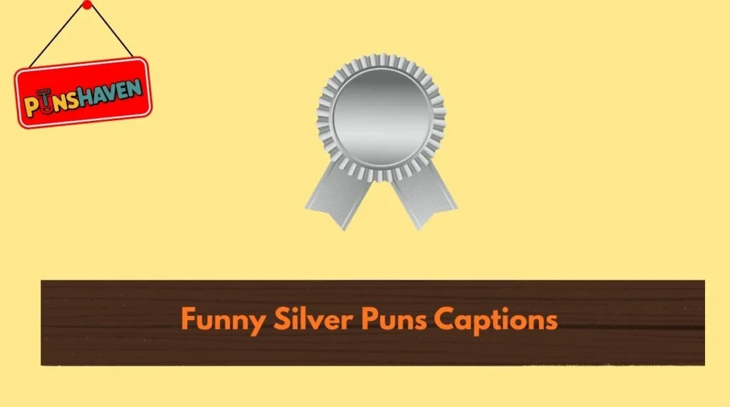 Funny Silver Puns Captions