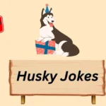 Husky Jokes