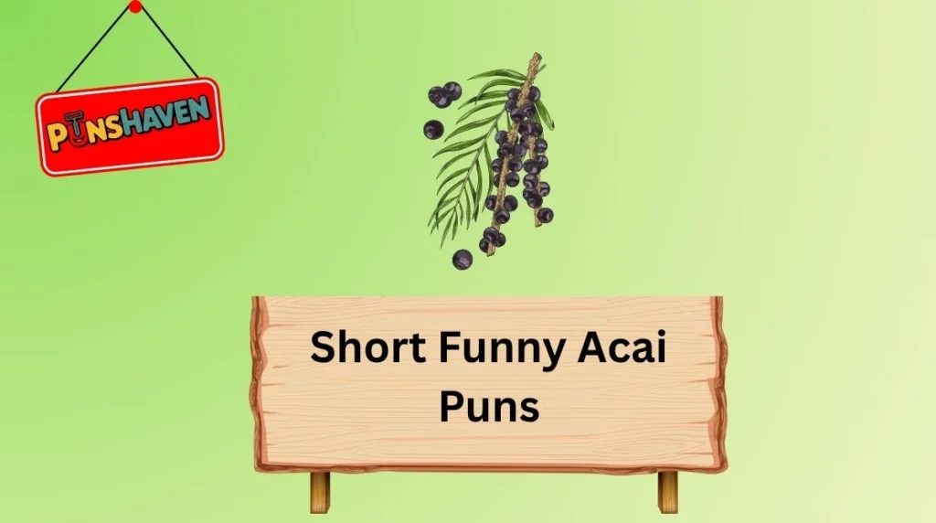 Short Funny Acai Puns