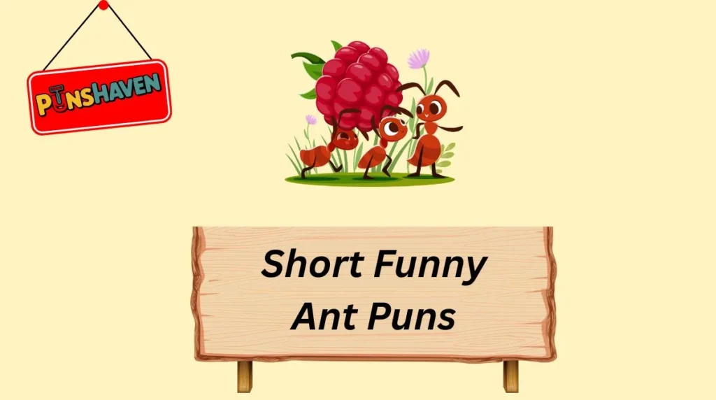 Short Funny Ant Puns