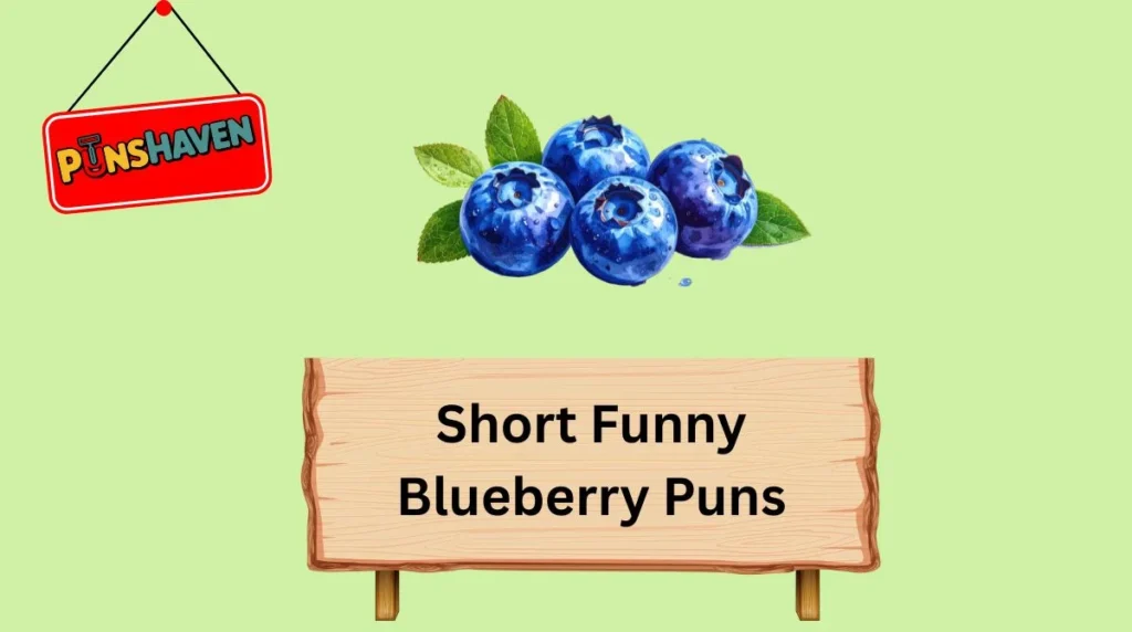 Short Funny Blueberry Puns