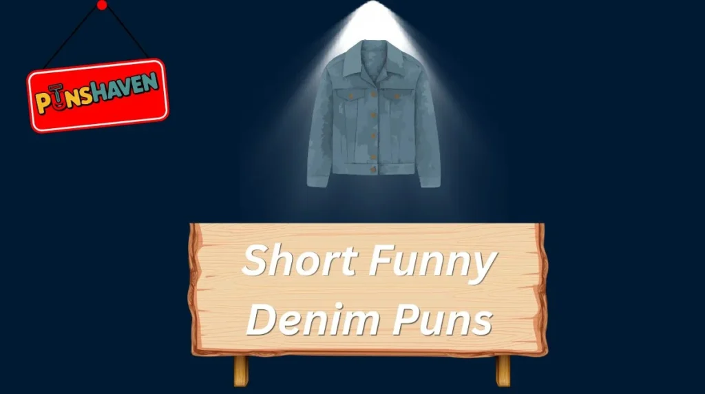 Short Funny Denim Puns