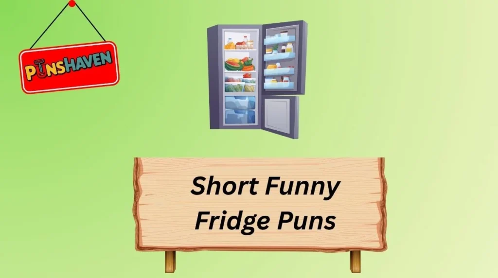 Short Funny Fridge Puns