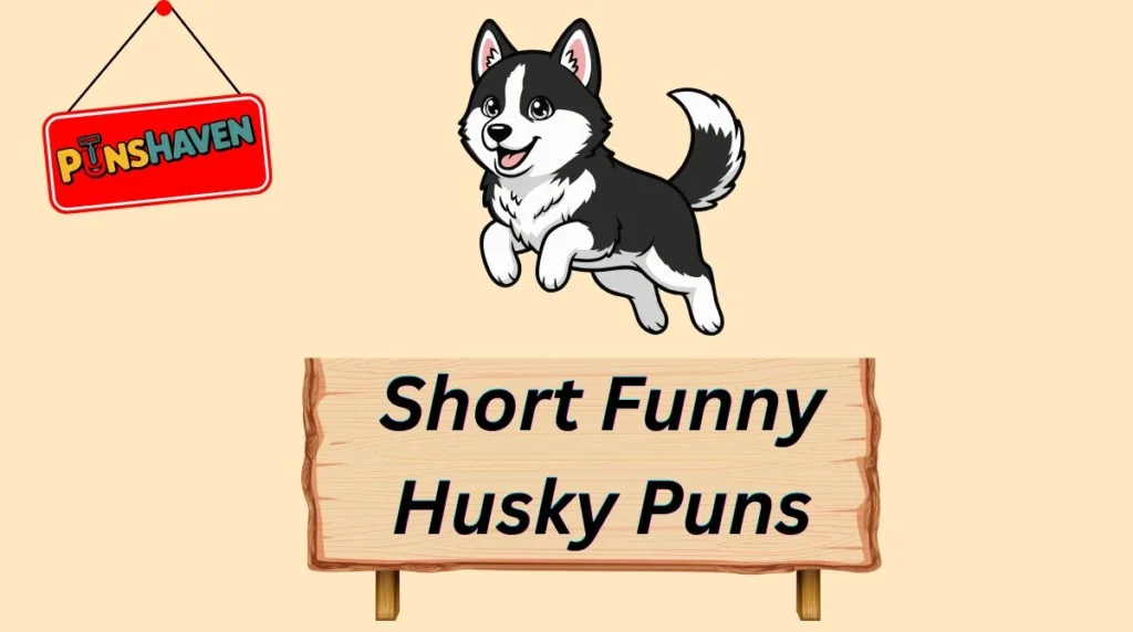 Short Funny Husky Puns