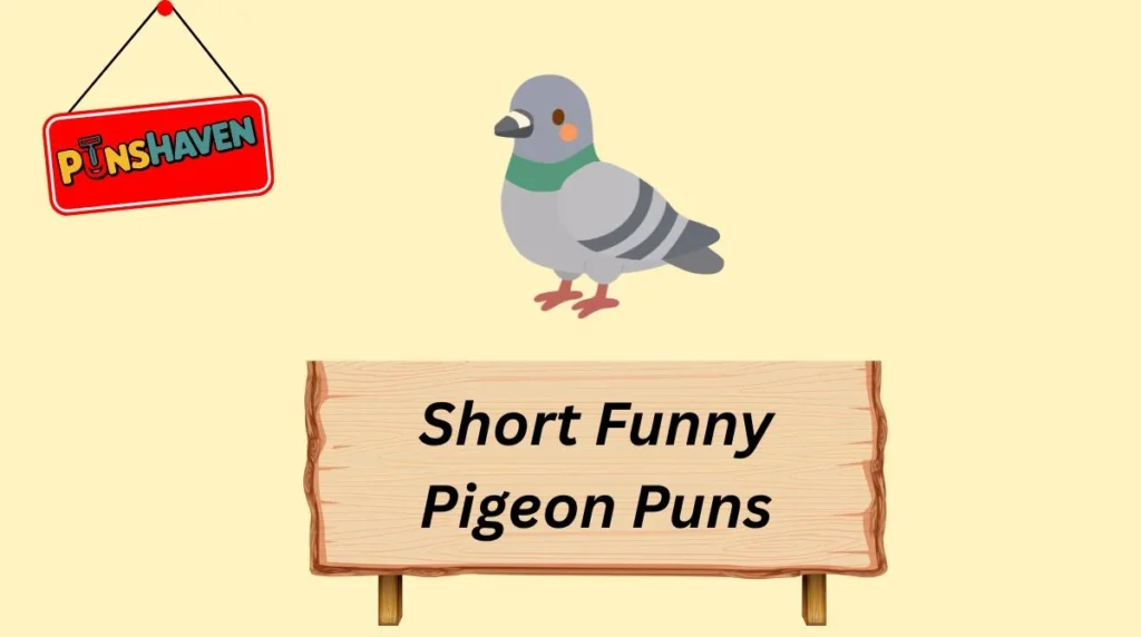 Short Funny Pigeon Puns