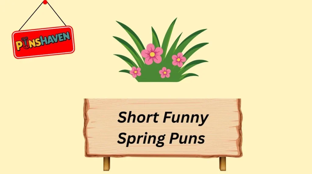 Short Funny Spring Puns