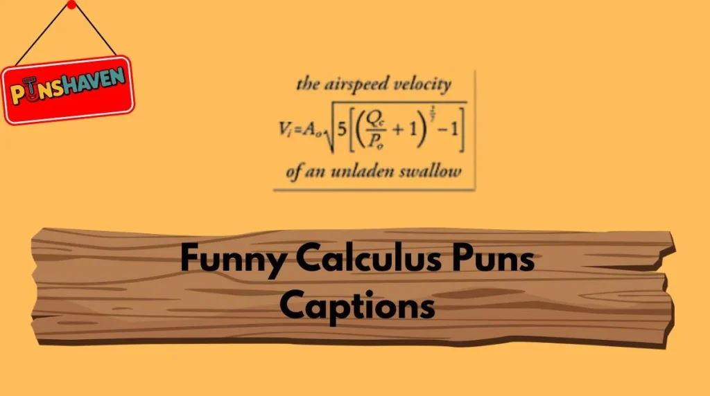Funny Calculus Puns Captions