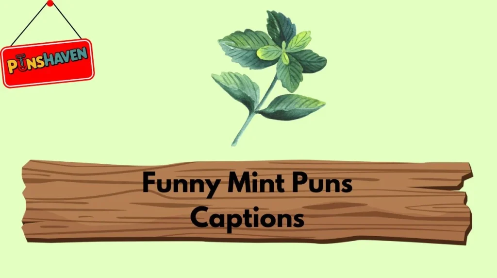 Funny Mint Puns Captions