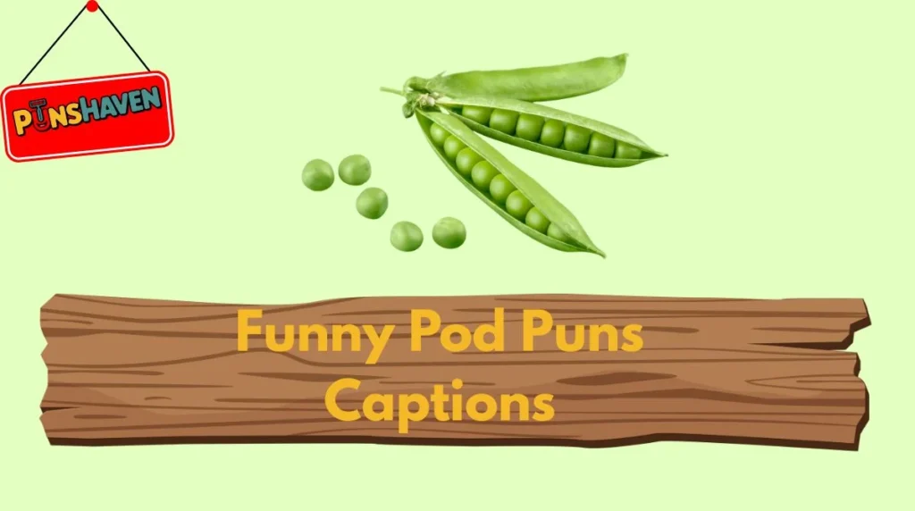 Funny Pod Puns Captions
