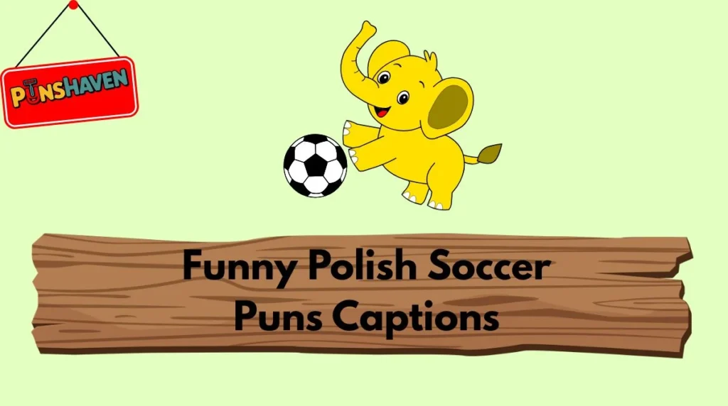 Funny Polish Soccer Puns Captions