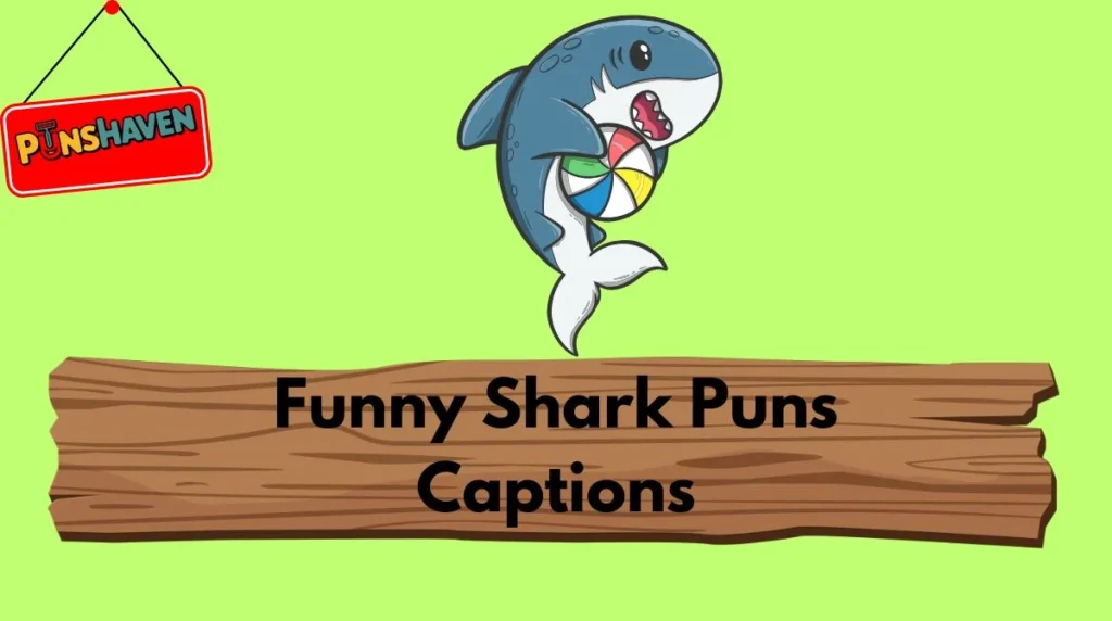 Funny Shark Puns Captions