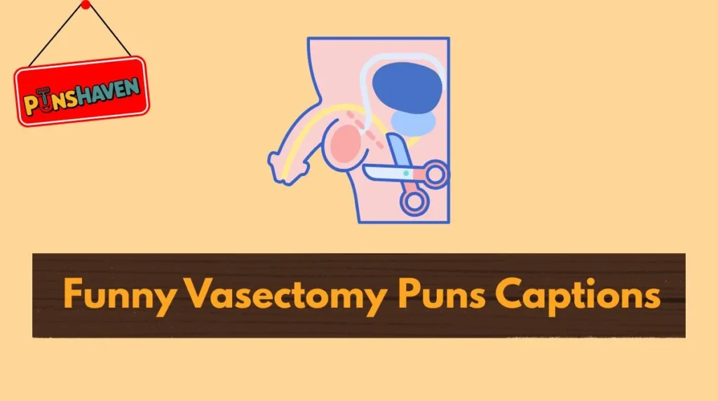 Funny Vasectomy Puns Captions