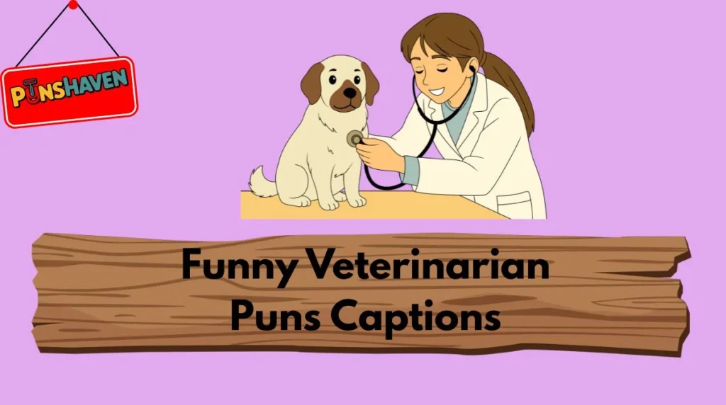 Funny Veterinarian Puns Captions