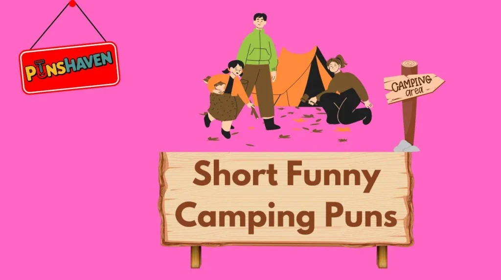 Short Funny Camping Puns