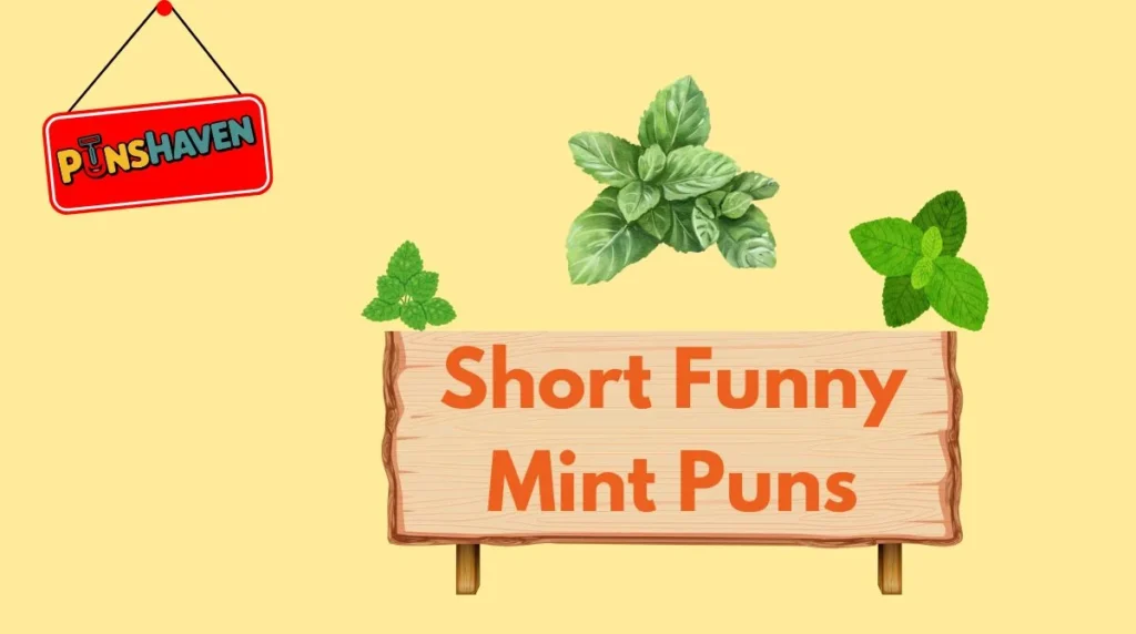 Short Funny Mint Puns