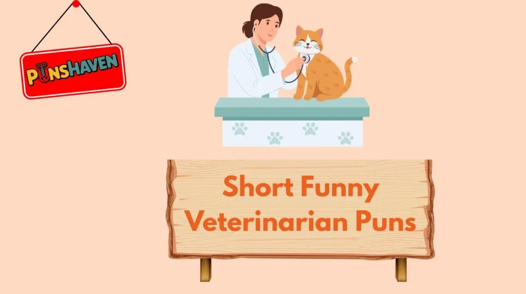 Short Funny Veterinarian Puns